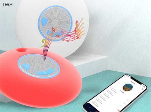 portable waterproof bluetooth speaker(tws)