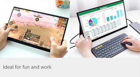17.3 portable monitor(fun and work)