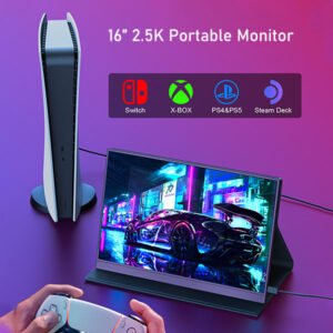 second portable monitor for laptop